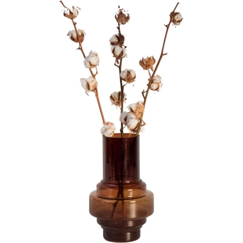 Plant In A Box - Fleurs séchées - Set de 3 - Bouquet 'Cotton branch'