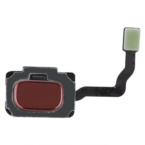 Flex câble capteur d'empreinte digitale pour Samsung Galaxy S9/S9+ (G960/G965) - Bouton Accueil