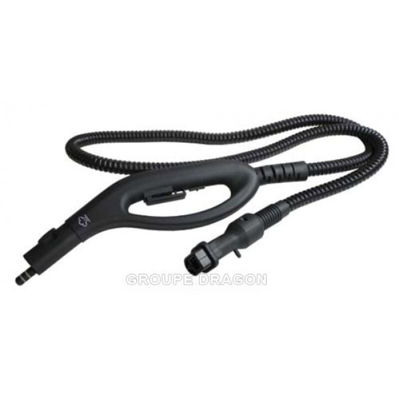 Flexible complet (500583626) Nettoyeur vapeur Astoria