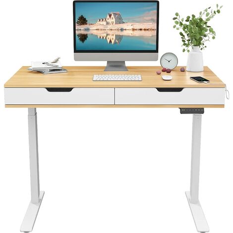 FLEXISPOT EG8 Electric Standing Desk Home Office Electric Height Adjustable Standing Desk Sit Stand Desk