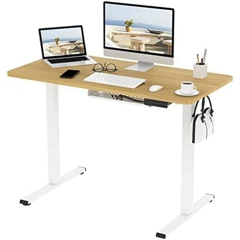 FLEXISPOT Electric Height Adjustable Standing Desk Sit Stand Desk Adjustable Desk Stand Up Desk