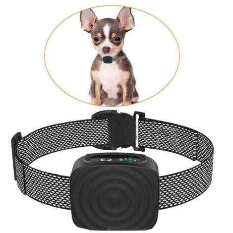 kleiner vibrator Antibellhalsband für Hunde – Training – Zuhause – 2,3–6,8 kg,  wiederaufladbar, verstellbar – Für kleine/mittelgroße Hunde