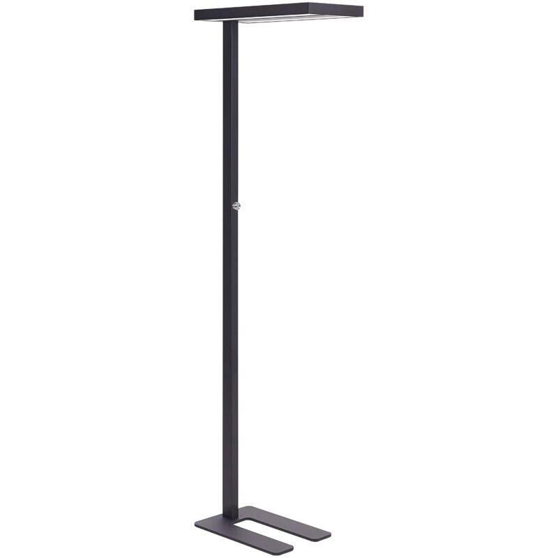 Image of LED Floor Lamp TAURUS with Dimmer&hellip;
