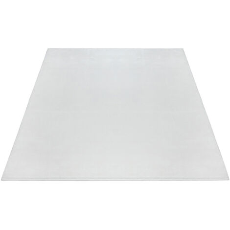 FLOORNOVO Hochflor Teppich Beige einfarbig - 170 x 120 cm - Besonders Weicher Teppich Wohnzimmer & Badezimmerteppich - Pflegeleicht - vielseitig einsetzbar im Innenbereich