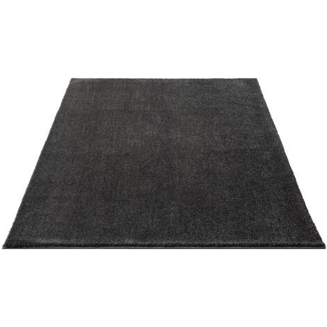 FLOORNOVO Hochflor Teppich Grau einfarbig - 170 x 120 cm - Besonders Weicher Teppich Wohnzimmer & Badezimmerteppich - Pflegeleicht - vielseitig einsetzbar im Innenbereich