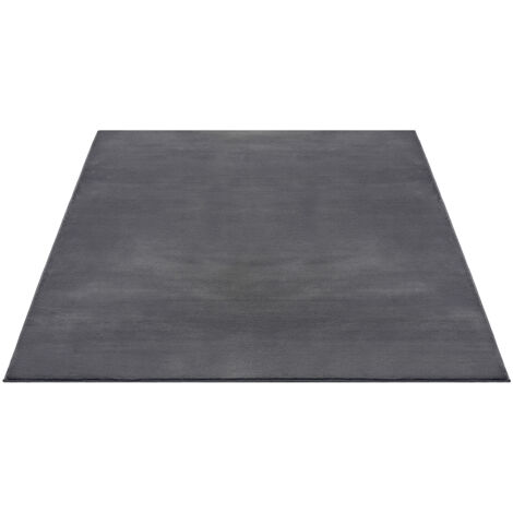 FLOORNOVO Hochflor Teppich Grau einfarbig - 220 x 160 cm - Besonders Weicher Teppich Wohnzimmer & Badezimmerteppich - Pflegeleicht - vielseitig einsetzbar im Innenbereich
