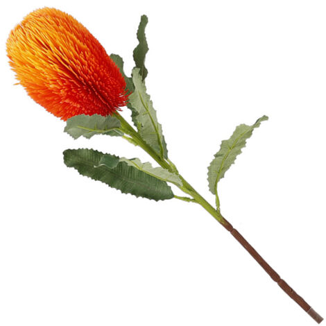 Flor artificial de Banksia [Flor artificial de Banksia] Lujosas flores artificiales, iluminación innovadora, plástico, 64 cm, naranja