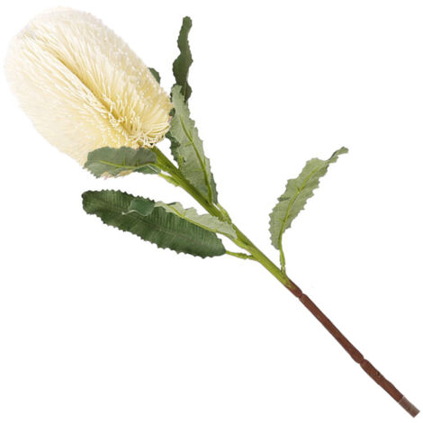 Flor artificial de Banksia: planta decorativa lujosa de color blanco lechoso para el hogar, sala de estar u hotel. 64 cm con hojas de seda.