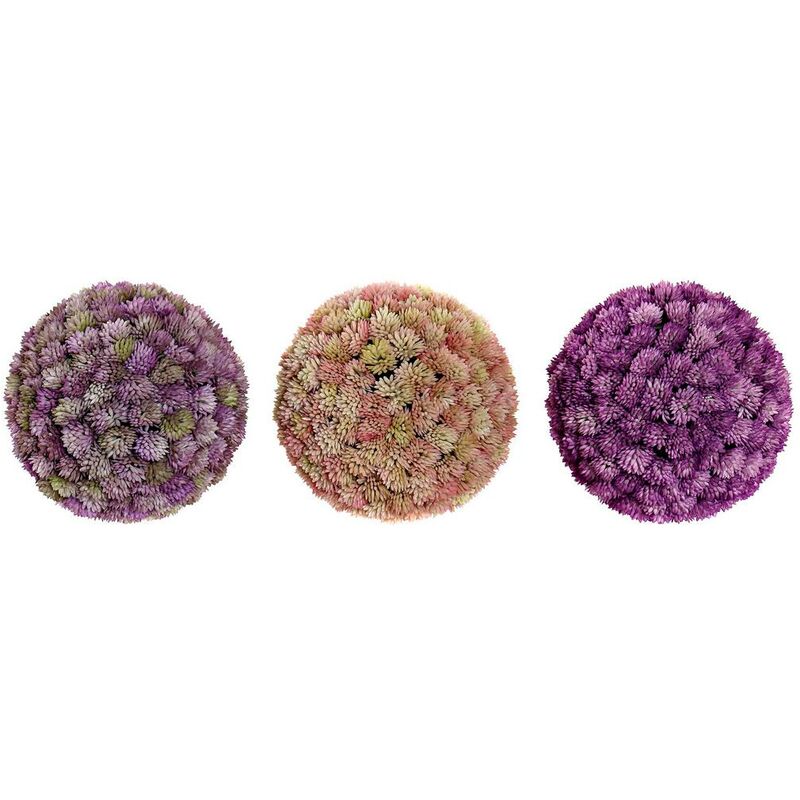 

Flor Decorativa DKD Home Decor Plástico Hierro (3 pcs)