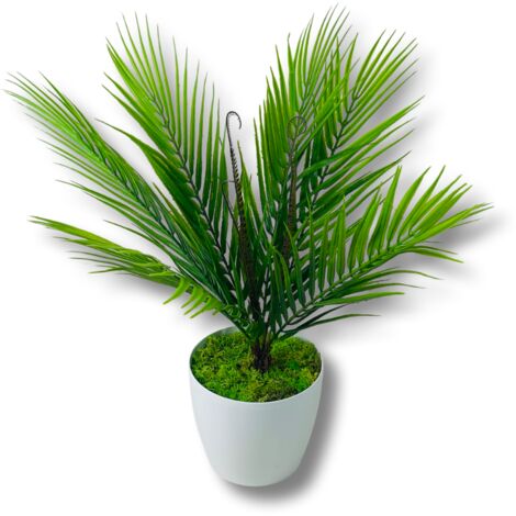 Flor en maceta - Palmera 54 cm
