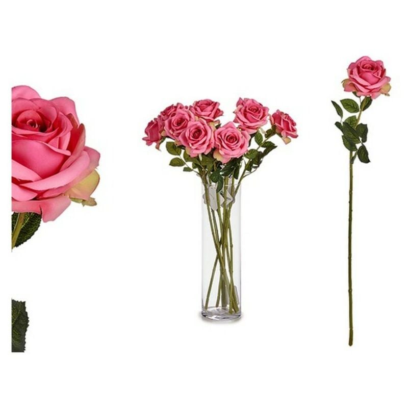 

Flor Rosa Rosa claro