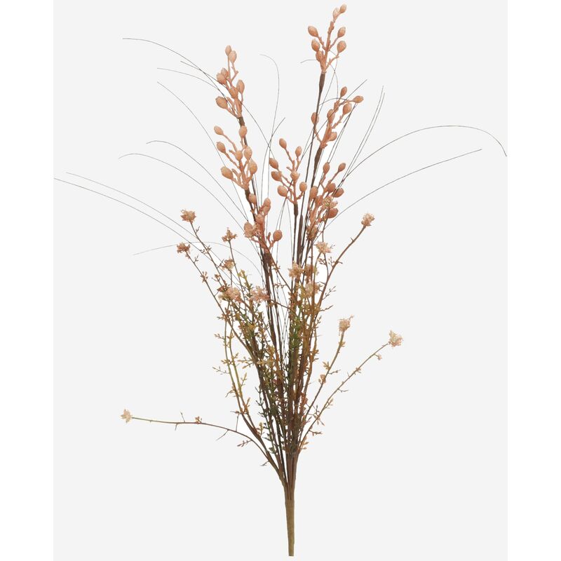 

Flor seca bayas