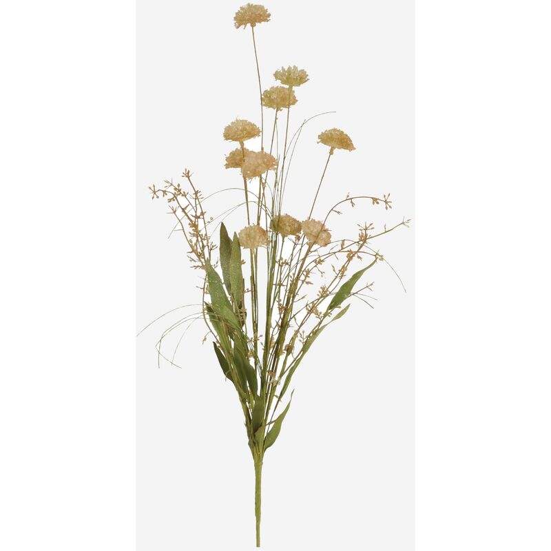

Flor seca pom pom verde