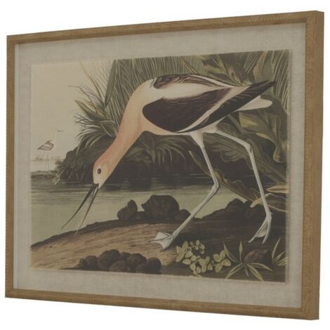 Flora & Fauna Collection Avocet on Linen in Beaded Frame - Glass - L2 x W62 x H45 cm - Brown