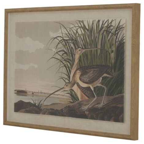 Flora & Fauna Collection Curlews on Linen in Beaded Frame - Glass - L2 x W62 x H45 cm - Brown
