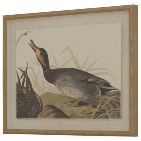 Flora & Fauna Collection Duck on Linen in Beaded Frame - Glass - L2 x W40 x H50 cm - Brown