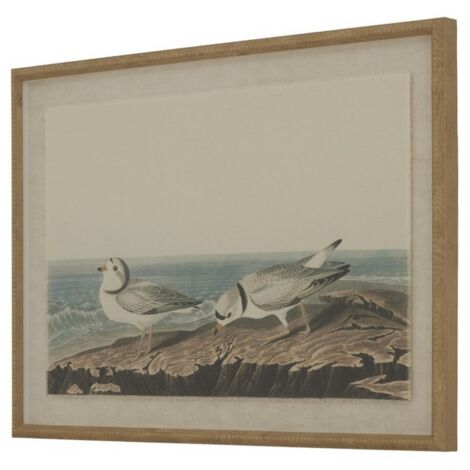 Flora & Fauna Collection Plovers on Linen in Beaded Frame - Glass - L2 x W62 x H45 cm - Brown