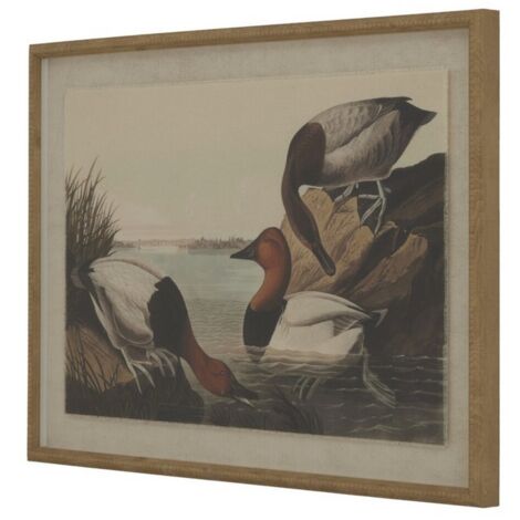 Flora & Fauna Collection Pochards on Linen in Beaded Frame - Glass - L2 x W62 x H45 cm - Brown
