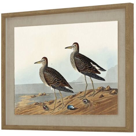 Flora & Fauna Collection Sandpipers on Linen in Beaded Frame - Glass - L2 x W40 x H50 cm - Brown