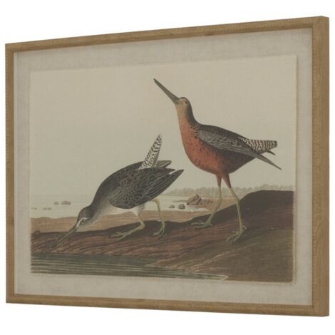 Flora & Fauna Collection Snipes on Linen in Beaded Frame - Glass - L2 x W62 x H45 cm - Brown