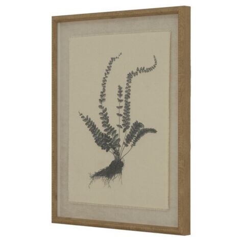 Flora & Fauna Collection Spleenwort on Linen in Beaded Frame - Glass - L2 x W40 x H50 cm - White