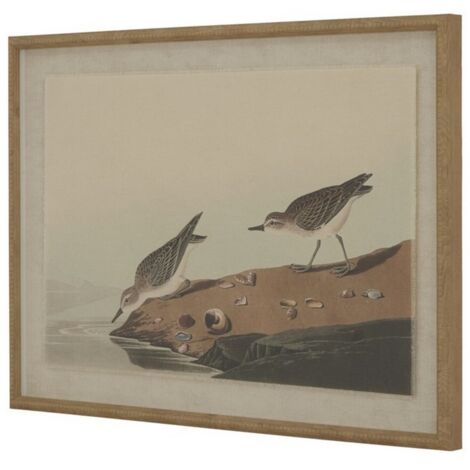 Flora & Fauna Collection Stints on Linen in Beaded Frame - Glass - L2 x W62 x H45 cm - Brown