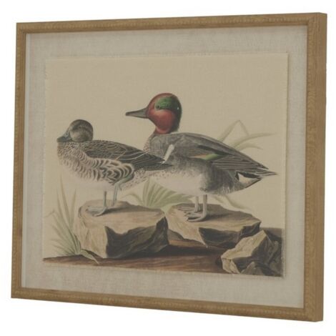 Flora & Fauna Collection Teals on Linen in Beaded Frame - Glass - L2 x W40 x H50 cm - Brown