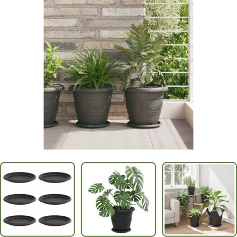 Florero redondo -  Bandeja Redonda para Flores 6 pcs Negro Ø 19 x 2 cm Plástico