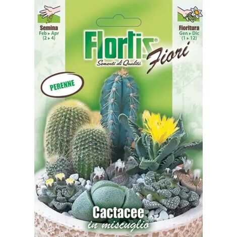 FLORTIS Cactacee mix
