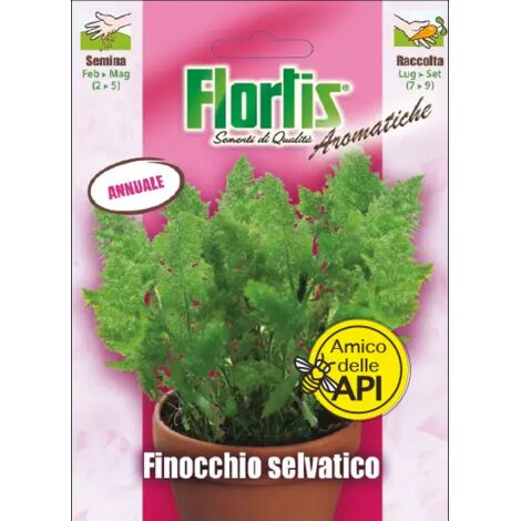 FLORTIS Finocchio selvatico