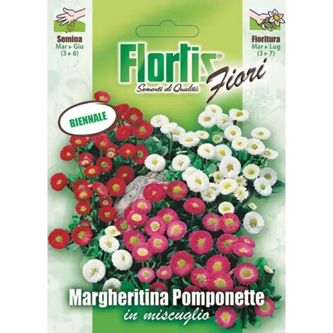 FLORTIS Margheritina Pomponette mix