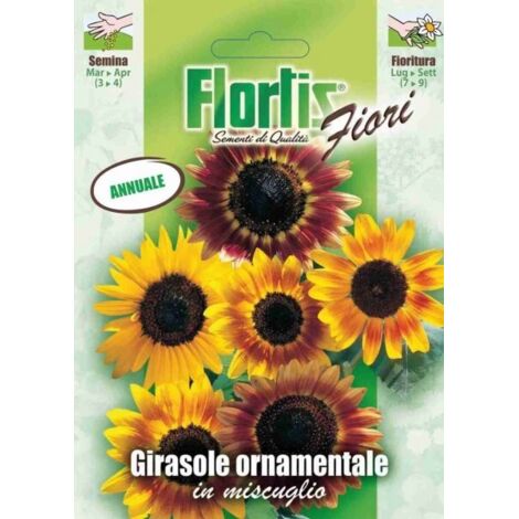 Flortis Semi di Girasole Ornamentali - Pronti per Semina