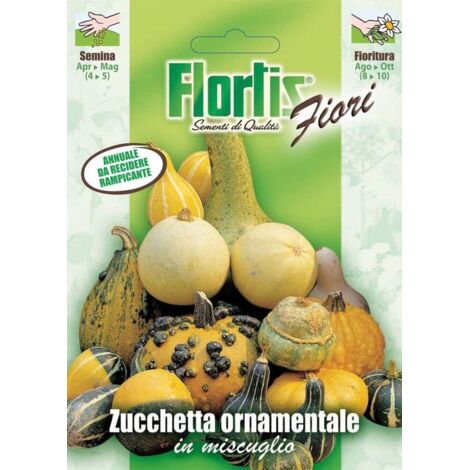 FLORTIS Zucchetta ornamentale mix