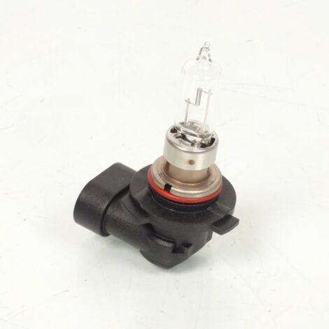 Flosser-Glühbirne für Roller Malaguti 250 f12 phantom nach 2004