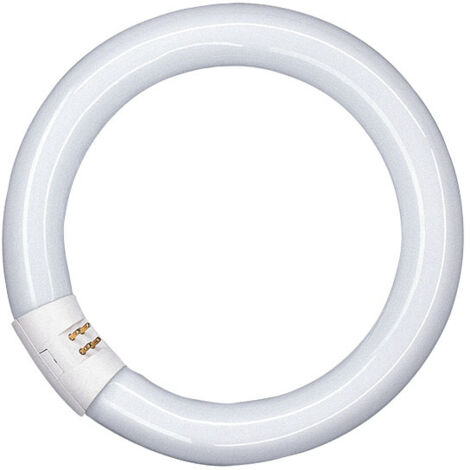 Flourescente Circular T9 22W/865 12 UNID marca OSRAM