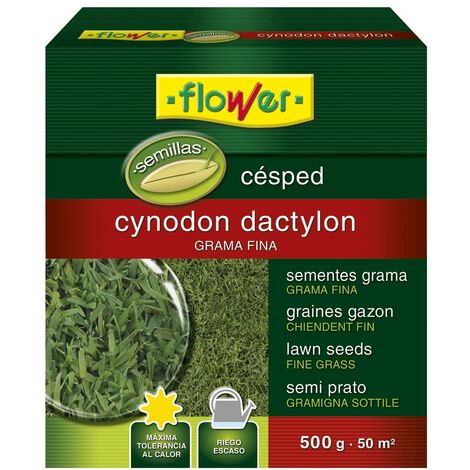 Flower 10796 10796-Seme Cynodon Dylon, 500 g, Non Si Applica, 14.4x6x16 cm