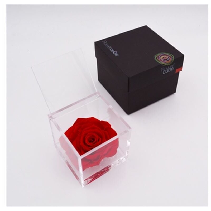 Flowercube rosa cm 12x12 - rosso