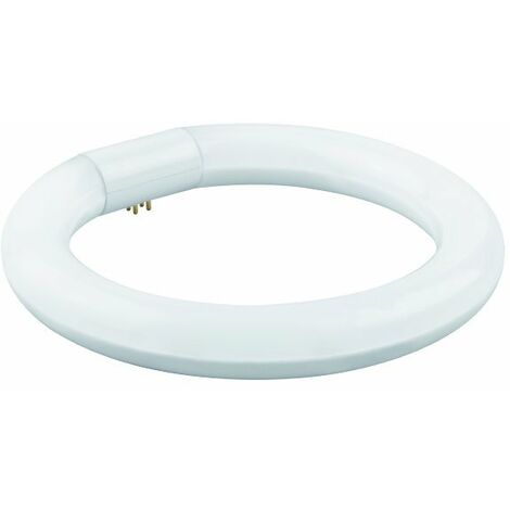 FLUORES.LED T9 CIRCULAR 22CM. 15W. FRIA Matel.