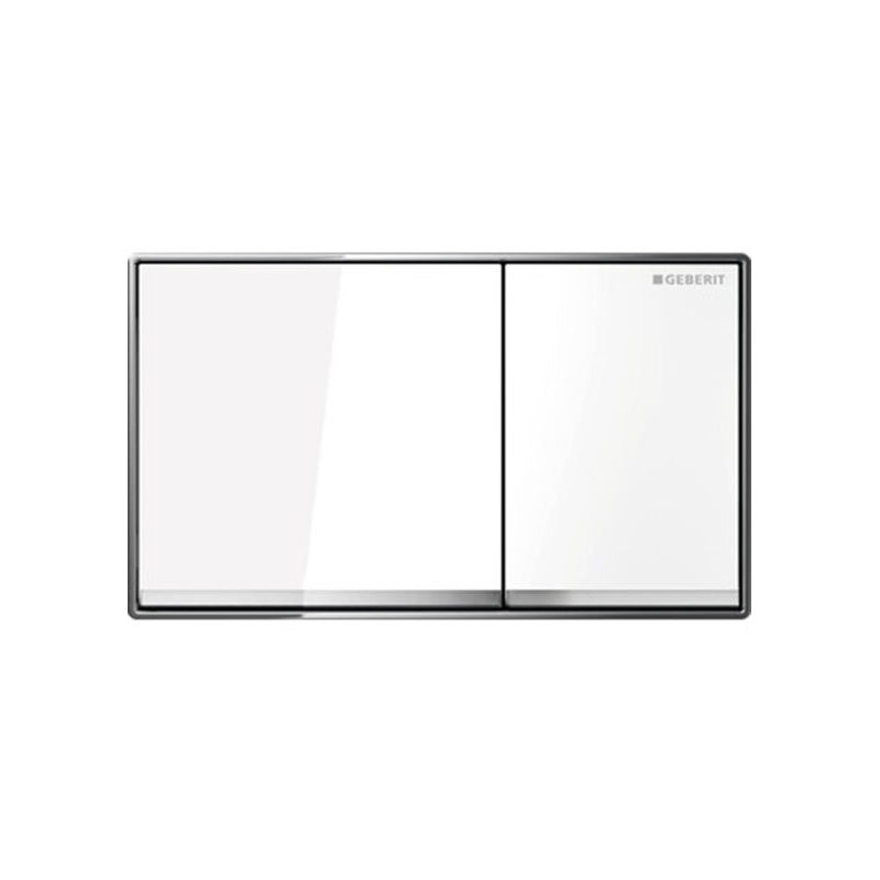 Omega60 Dual Flush Plate White Glass 115.081.SI.1 - Geberit