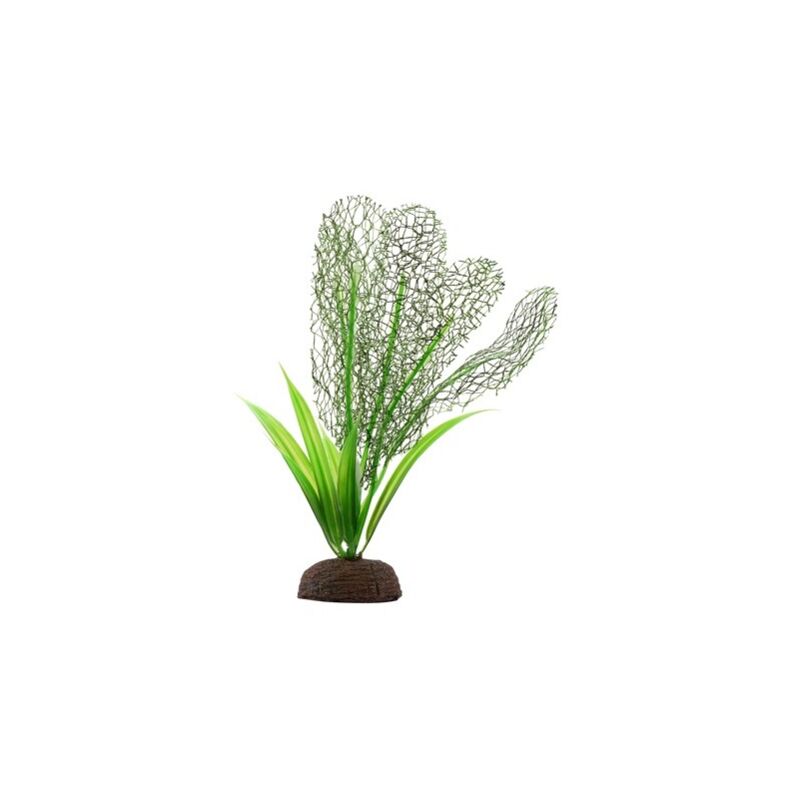 

Fluval plant madagascar 12,5cm