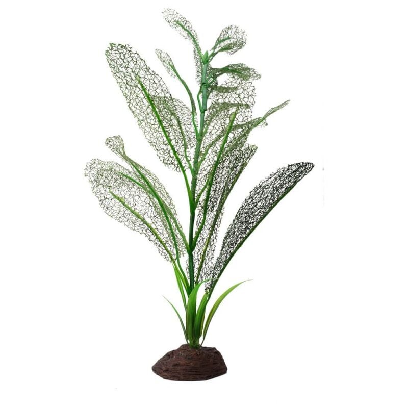 

plant madagascar 40cm - Fluval