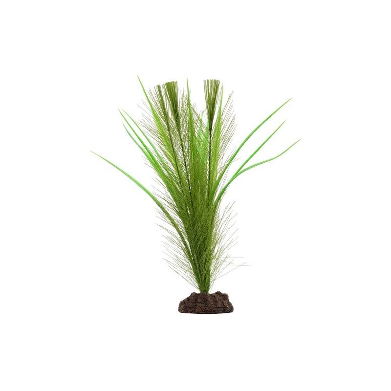 

plant valisneria 20cm - Fluval