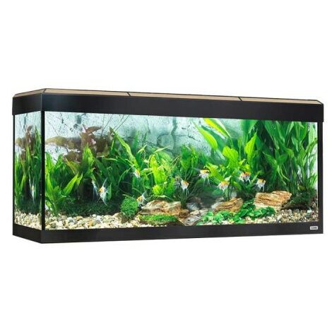 Fluval rome led Bluetooth 240L, Eiche