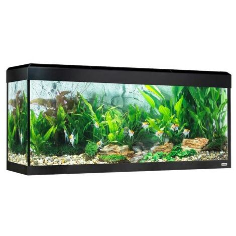 Fluval rome led bluetooth 240l, schwarz