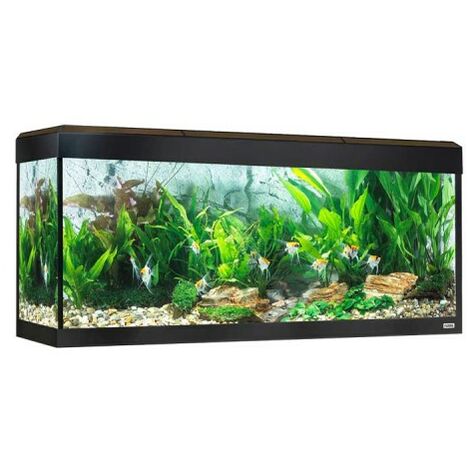 Fluval rome led Bluetooth 240L, Walnuss
