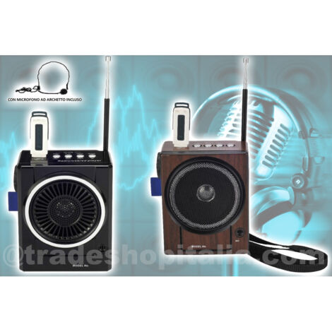 Fm Radio Karaoké Usb Haut-parleur Mp3 Sd Sd Coque Rechargeable Avec Torche Et Microphone