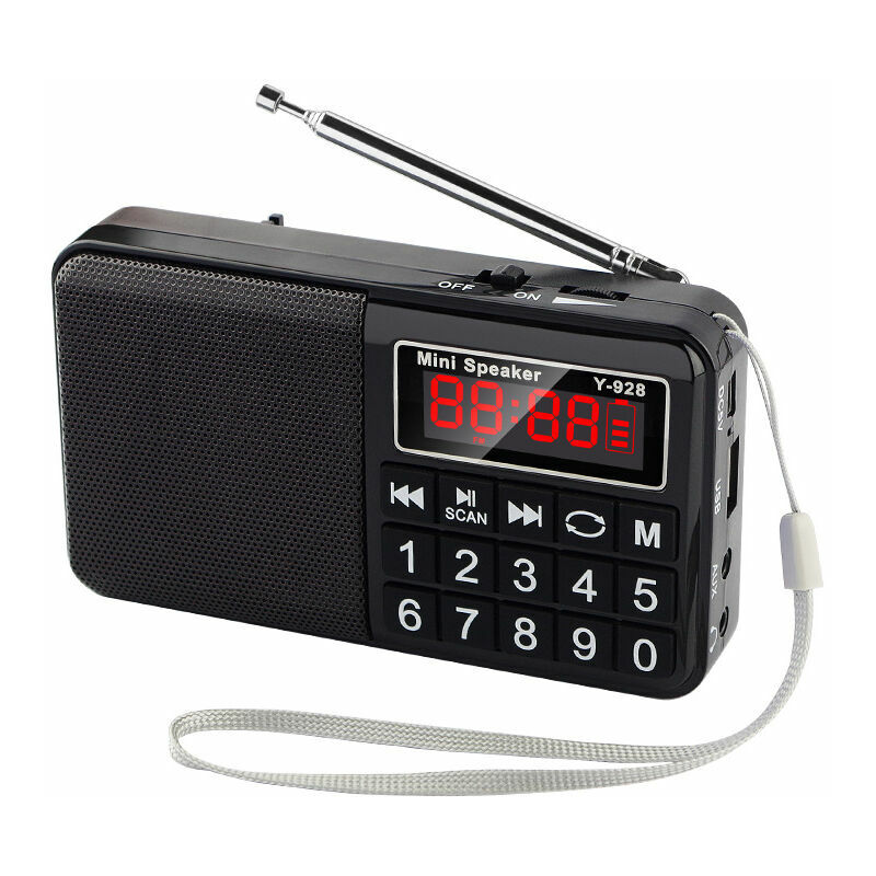 Heguyey - FM/AM(MW)/SW/USB/Micro-SD/MP3 Portable Radio, Radio with Large Buttons and Large Display, Portable Radio Rechargeable 1200 mAh Battery