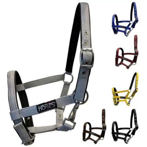 Foal, Rosso: Cavezza Regolabile in nylon Horses Foal