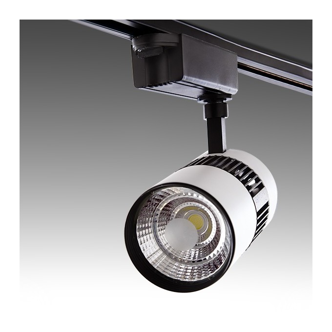 

Greenice - Foco Carril LED Bifásico 20W 2000Lm 30.000H Kylie | Blanco Cálido (PL-218050-T-CW-W)