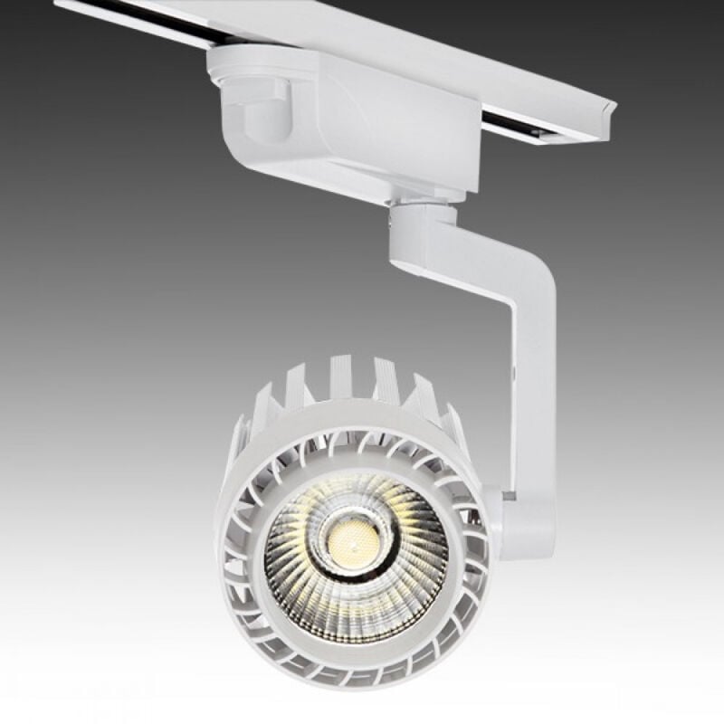 

Greenice - Foco Carril LED Monofásico 30W 2600Lm 30.000H Faith IDI-FC-D-30-CW | Blanco Cálido (IDI-FC-D-30-CW)